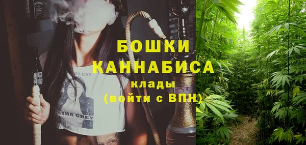 твердый Каменногорск