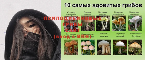 твердый Каменногорск