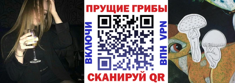 Галлюциногенные грибы Psilocybe  Купить  Боготол 